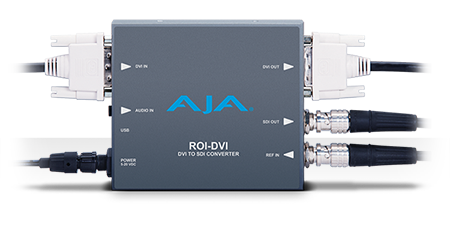 AJA ROI-DVI