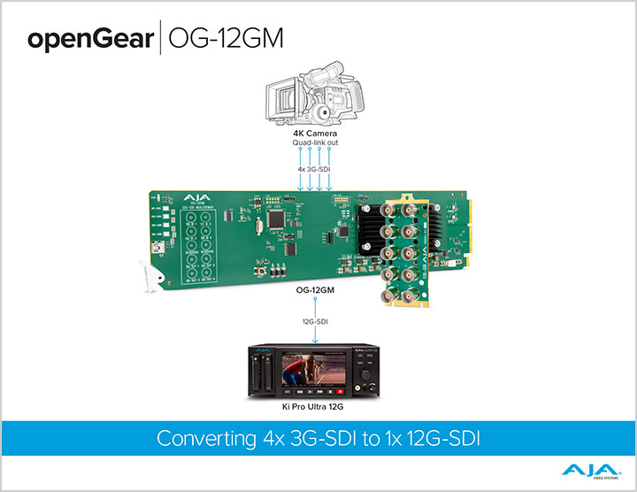 OG-12GM Workflow Diagram